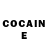 Cocaine Fish Scale Ty Lower