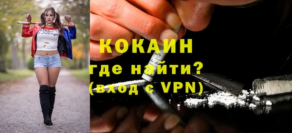 крисы Баксан