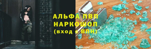 крисы Баксан