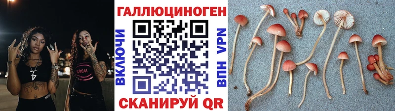 mega Ульяновск Галлюциногенные грибы мухоморы