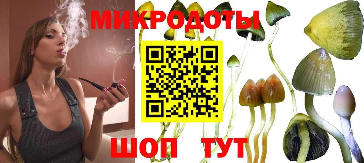 Ульяновск  Галлюциногенные грибы мицелий  Вход с VPN  Псилоцибиновые грибы мухоморы 