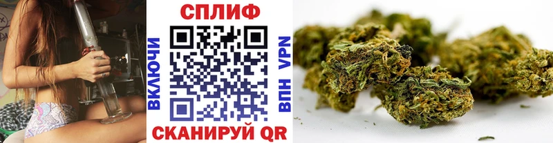 продажа наркотиков  Ульяновск  Бошки марихуана ГИДРОПОН 